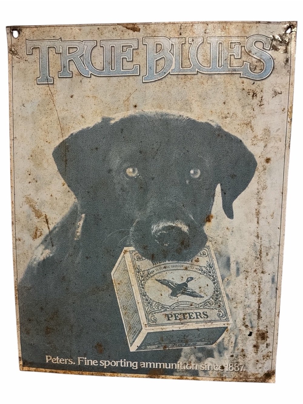 True Blues Ammunition Dog Poster — Blue and Black